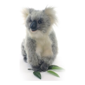 Pluche - Koala sgatje