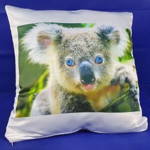Kussen - Koala blue eyes